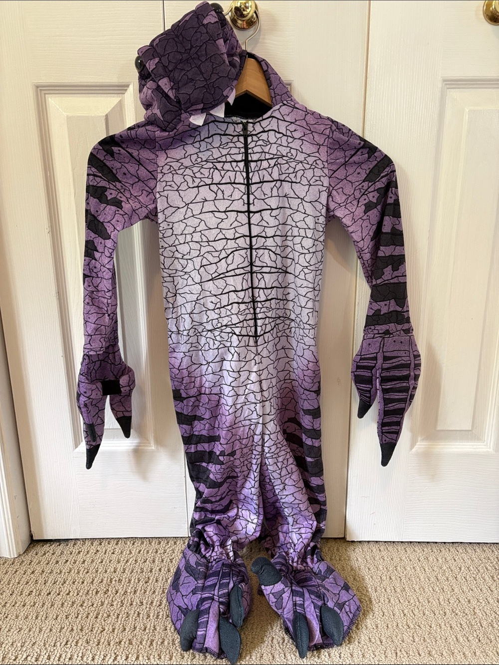 Purple Dragon Kids Costume One-Piece with Hood